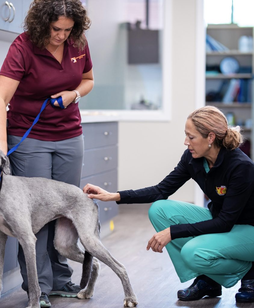 Dr. Arthur and Dr. Weaver conferring about a patient