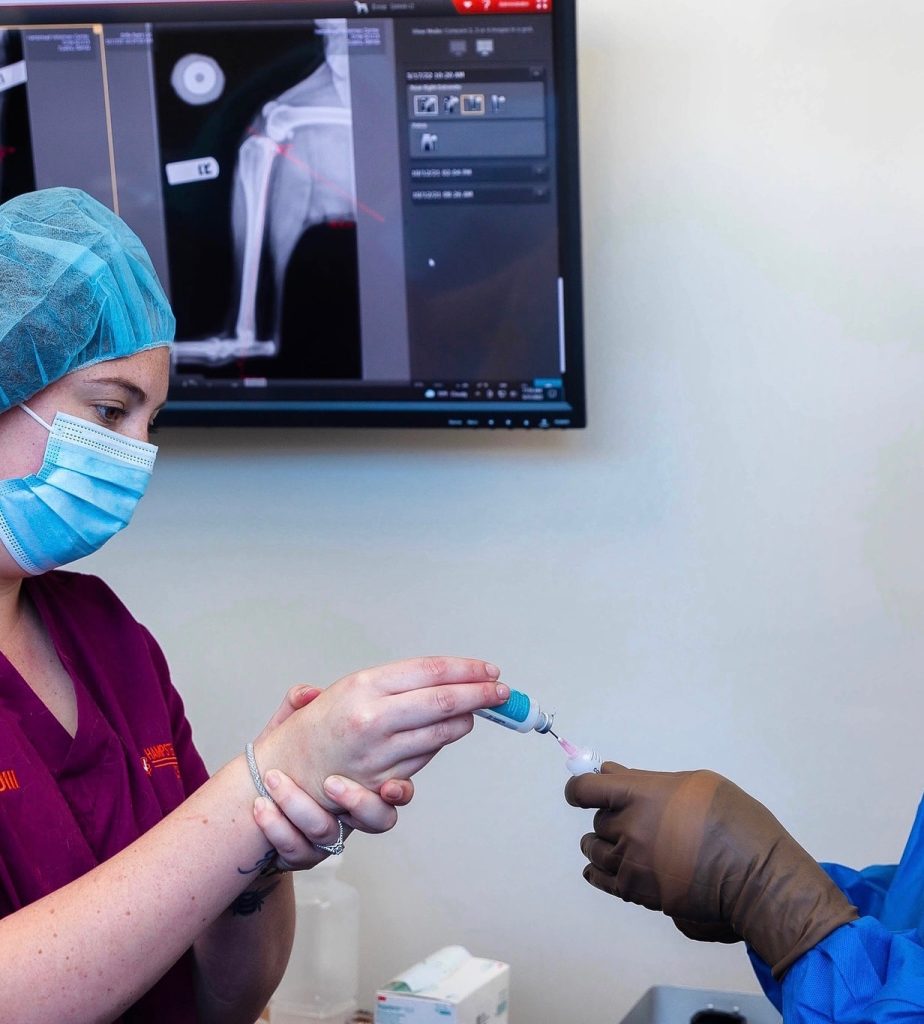 Veterinary doctors